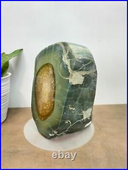 Rare green yellow petrified wood polished natural home decoration 3300gr