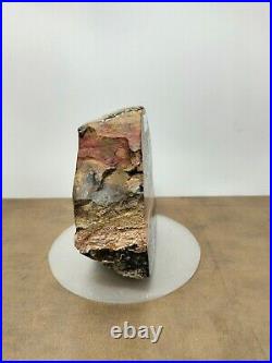 Rare mix brown black petrified wood with crystal polished 936gr (10x5x11cm) 325