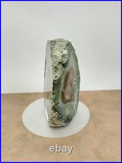 Rare mix brown green petrified wood with crystal polished 827gr (9x7x12cm)