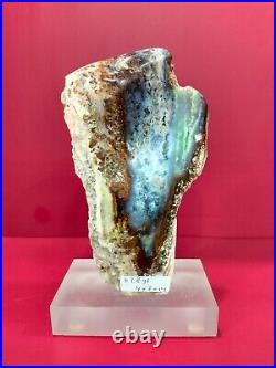 Rare mix color green white brown petrified wood polished 628gr (4x14x8cm) 429