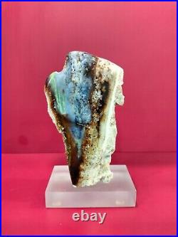 Rare mix color green white brown petrified wood polished 628gr (4x14x8cm) 429