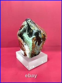 Rare mix color light green white brown petrified wood polished 539gr (5x7x9cm)