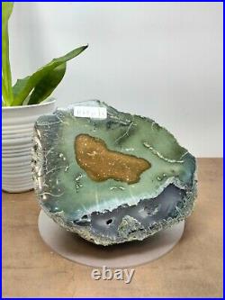 Rare mix green with crystal petrified wood polished 1172gr (14x7x12cm)