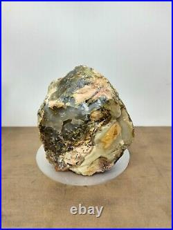 Rare mix white pink brown petrified wood with crystal polished 680gr