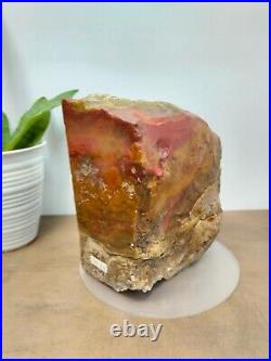 Rare red orange yellow petrified wood polished natural home decoration 3100gr