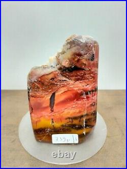 Rare red petrified wood with crystal polished 739gr