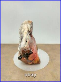 Rare red petrified wood with crystal polished 739gr