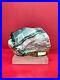 Rare_special_mix_blue_petrified_wood_with_picture_polished_776gr_15x10x5cm_01_bdsg