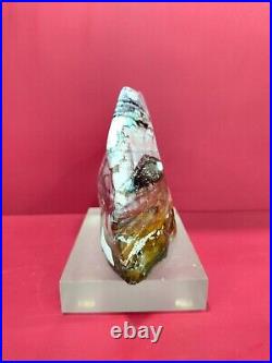 Rare special mix blue petrified wood with picture polished 776gr (15x10x5cm)