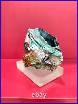 Rare special mix blue petrified wood with picture polished 776gr (15x10x5cm)