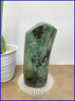 Rare teal green petrified wood polished natural home decoration 1400gr