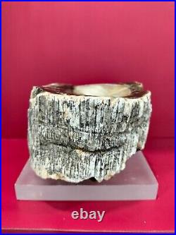Rare translucent brown petrified wood trunk polished 1993gr (13x11x9cm)