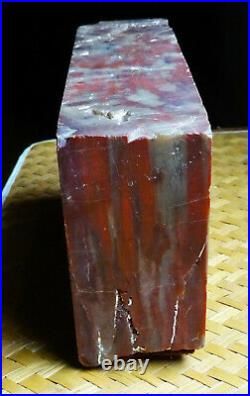 Red Petrified WoodRare High Quality Specimen 3lbs. 14oz. Bookend