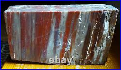 Red Petrified WoodRare High Quality Specimen 3lbs. 14oz. Bookend