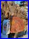 Red_Petrified_Wood_5_Lbs_Quality_Specimen_7_5_7_2_5_01_mlnf