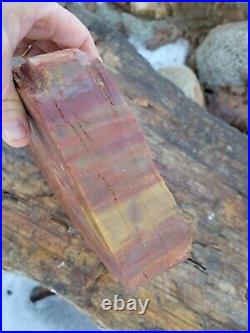 Red Petrified Wood 5 Lbs Quality Specimen 7.5× 7× 2.5