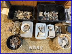 Rock Collection For Sale! Minerals, Polished Agates, Petrified Wood, Fossils
