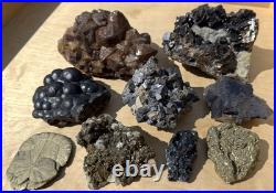 Rock Collection For Sale! Minerals, Polished Agates, Petrified Wood, Fossils