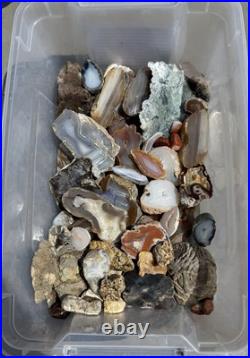 Rock Collection For Sale! Minerals, Polished Agates, Petrified Wood, Fossils
