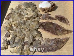 Rock Collection For Sale! Minerals, Polished Agates, Petrified Wood, Fossils
