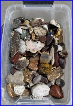 Rock Collection For Sale! Minerals, Polished Agates, Petrified Wood, Fossils