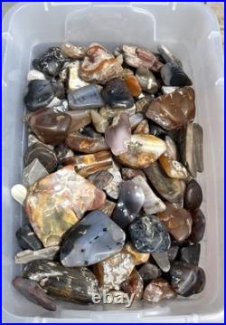 Rock Collection For Sale! Minerals, Polished Agates, Petrified Wood, Fossils