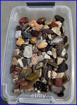 Rock Collection For Sale! Minerals, Polished Agates, Petrified Wood, Fossils
