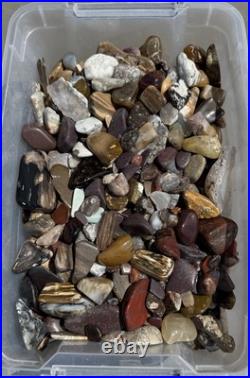 Rock Collection For Sale! Minerals, Polished Agates, Petrified Wood, Fossils