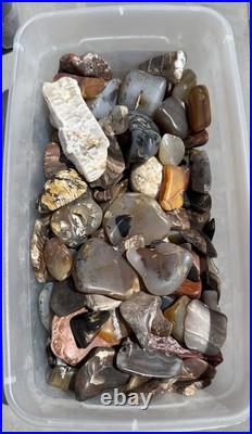 Rock Collection For Sale! Minerals, Polished Agates, Petrified Wood, Fossils