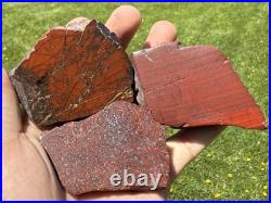 Rock Collection For Sale! Minerals, Polished Agates, Petrified Wood, Fossils