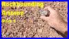 Rockhounding_Arizona_Pt_1_Petrified_Wood_Jasper_Chert_Rockhounding_Thefinders_01_dphm