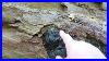 Rockhounding_Texas_Petrified_Wood_Fossil_Limbs_01_ed