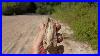 Rockhounding_Wetumpka_Crater_Petrified_Wood_U0026_Brilliant_Wood_Quartz_Crystals_And_Agates_01_kfsf