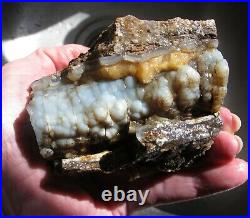 Rough Blue Forest Petrified Wood 12.6 oz. Blue Botryoidal