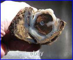 Rough Blue Forest Petrified Wood 12.6 oz. Blue Botryoidal