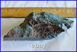 Rough Hampton Butte Petrified Wood Standup 1 pound 7 oz