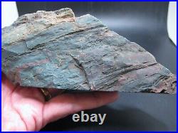 Rough Hampton Butte Petrified Wood Standup 1 pound 7 oz