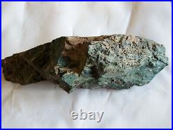 Rough Hampton Butte Petrified Wood Standup 1 pound 7 oz