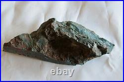 Rough Hampton Butte Petrified Wood Standup 1 pound 7 oz