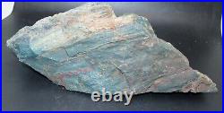 Rough Hampton Butte Petrified Wood Standup 1 pound 7 oz