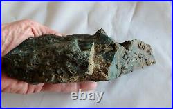 Rough Hampton Butte Petrified Wood Standup 1 pound 7 oz