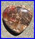 SALE_Extra_Large_Petrified_Wood_Heart_Shape_Stone_from_Madagascar_5_14_1_1kg_01_qy