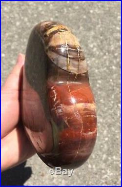 SALE Extra Large Petrified Wood Heart Shape Stone from Madagascar 5/14 1.1kg
