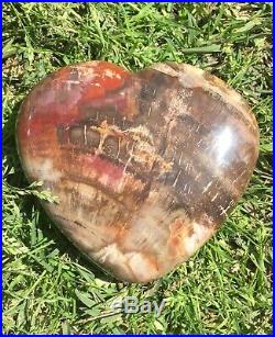 SALE Extra Large Petrified Wood Heart Shape Stone from Madagascar 5/14 1.1kg