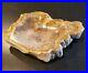 SALE_Extra_Large_Polished_Petrified_Wood_Bowl_Slab_from_Indonesia_6lbs_8_oz_01_hwk