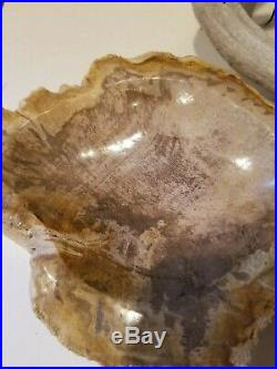 SALE Extra Large Polished Petrified Wood Bowl Slab from Indonesia 6lbs 8 oz