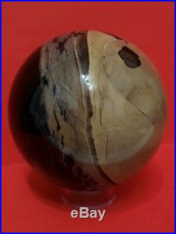 SYCAMORE PETRIFIED WOOD 4 3/4 SPHERE BALL AMAZING, RARE and a BEAUTY