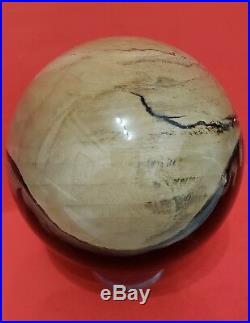 SYCAMORE PETRIFIED WOOD 4 3/4 SPHERE BALL AMAZING, RARE and a BEAUTY