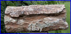 SiS 16+ lb. MONSTER Petrified Wood Woodworthia Log MY BIGGEST Zimbabwe Post