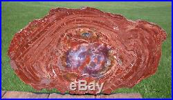 SiS 200 Million Year Old 18+ Arizona RAINBOW HEART Petrified Wood Round